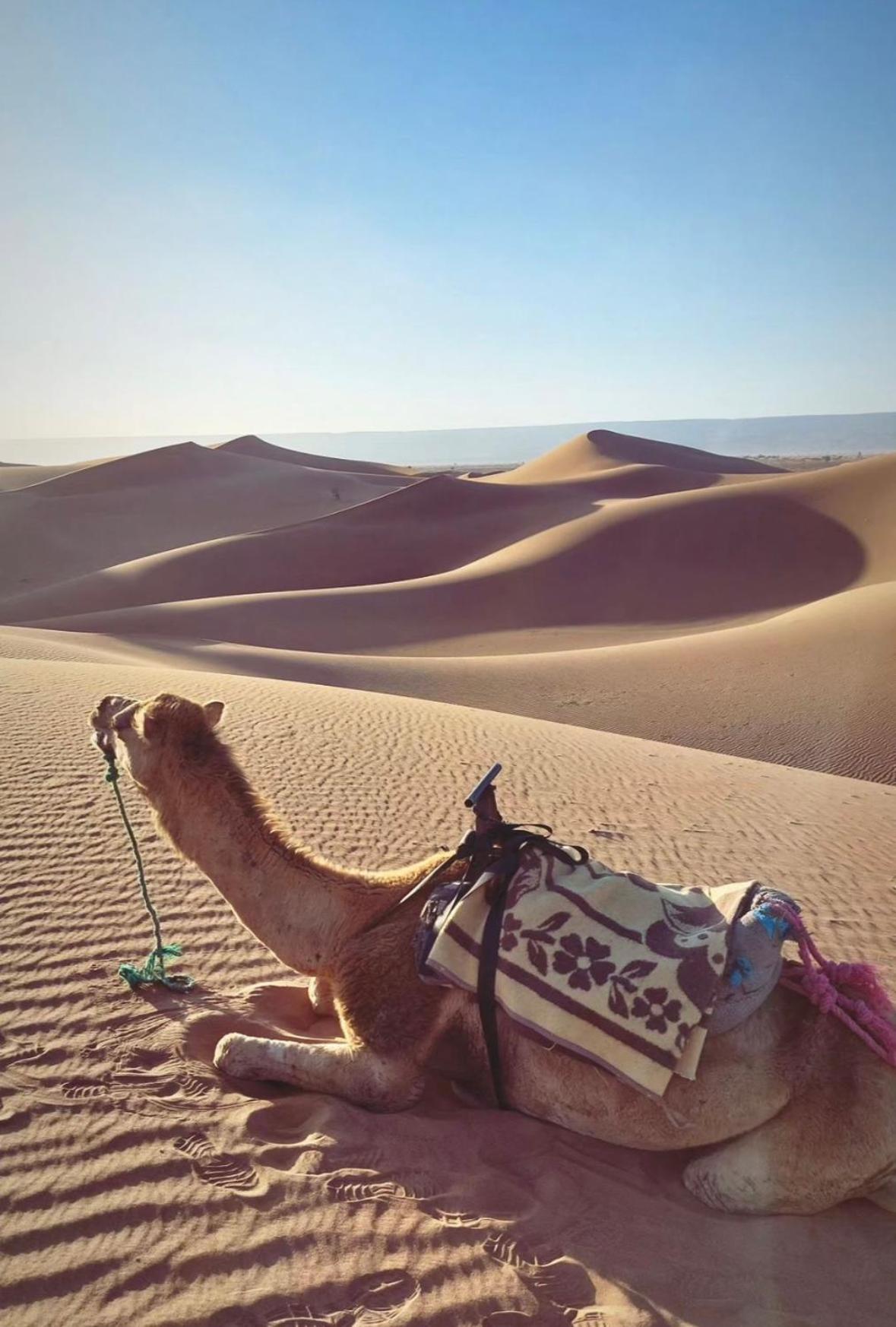 Desert Chegaga Luxury Camp El Gouera 외부 사진